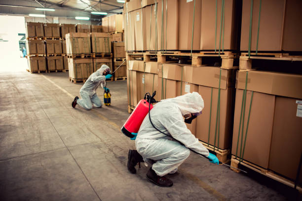 Best Mosquito Control Services  in West Islip, NY